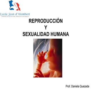 Sexualidad y Reproducción Humana