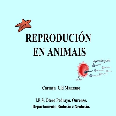 Reproducción animais2013