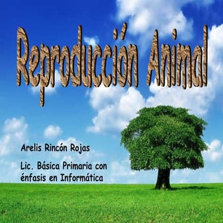 Reproducción animal arelis