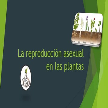 Reproducción asexual en las plantas