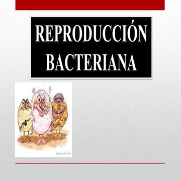 Reproducción bacteriana
