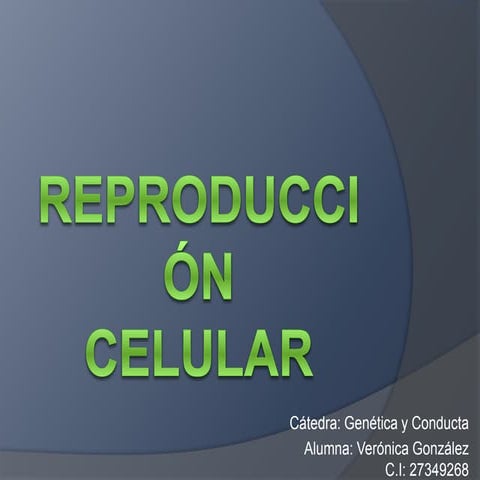 Reproducción celular