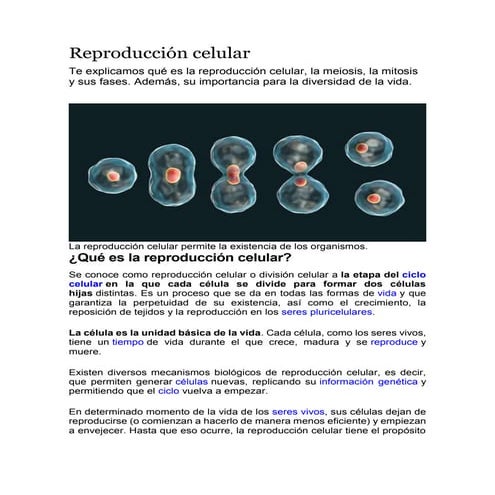 Reproducción celular.docx