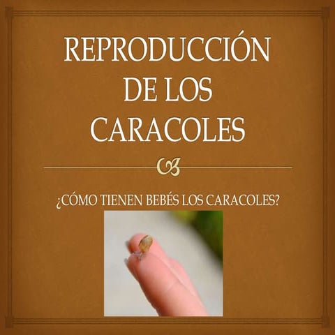 Reproducción de los caracoles