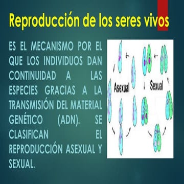 Reproducción Sexual y Asexual en las plantas | PPTX