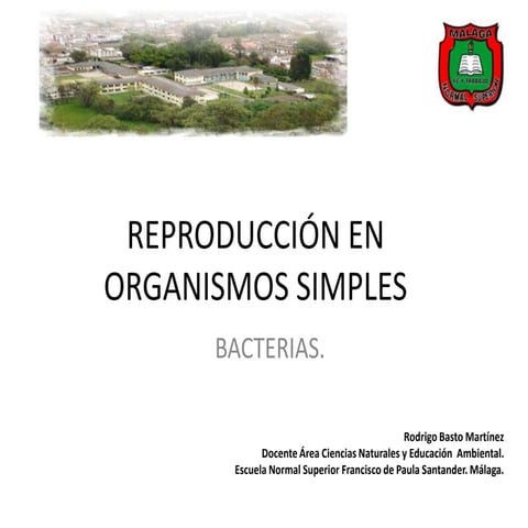Reproducción en bacterias.