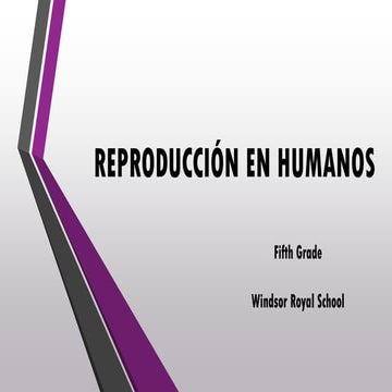 Reproducción en humanos
