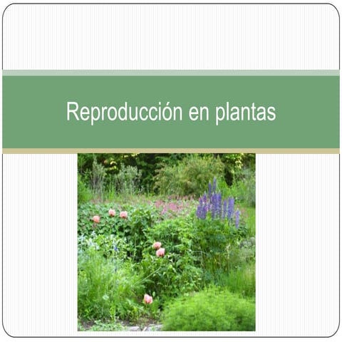 Reproducción en plantas