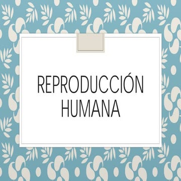 Reproducción humana