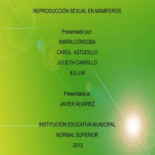 Reproducción sexual en los mamiferos