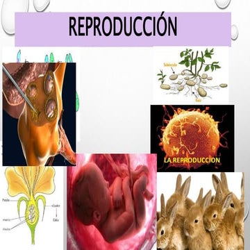REPRODUCCIÓN SEXUAL Y ASEXUAL BIO-REAL [Autoguardado].pptx