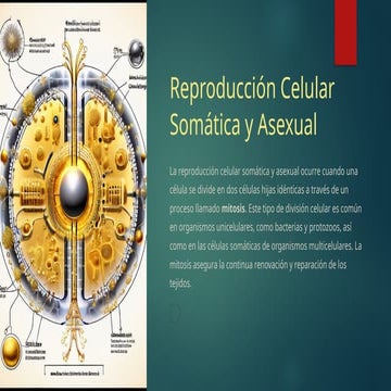 Reproduccion-Celular-Somatica-y-Asexual.pptx
