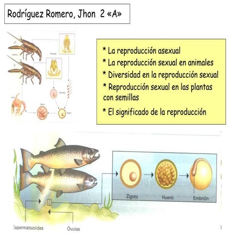 Reproduccion animal (2 a)