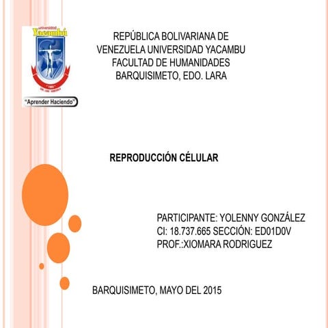 Reproduccion celular