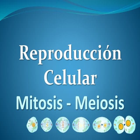 Reproduccion Celular