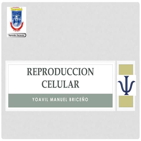 Reproduccion celular