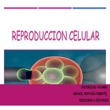 Reproduccion celular