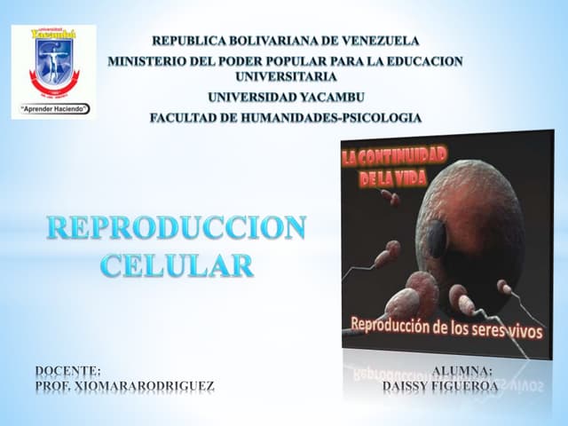 Reproduccion celular genetica