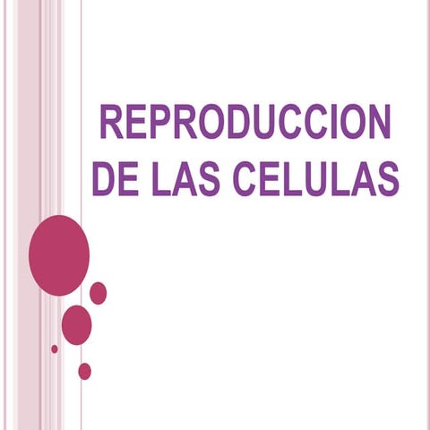 Reproduccion de las celulas