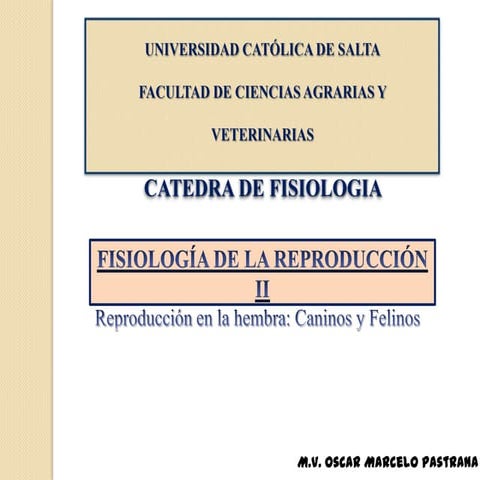 Fisiología, Reproduccion de la hembra: Caninos y Felinos