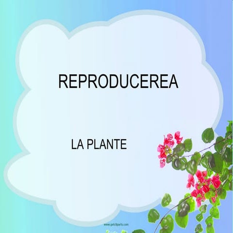Reproducerea la-plante