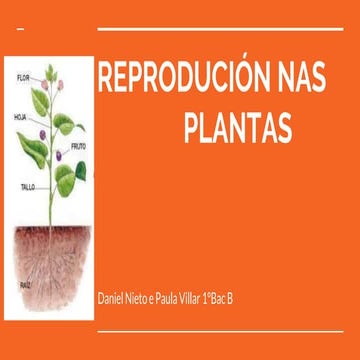 A reprodución nas plantas