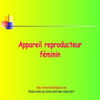 Appareil reproducteur féminin