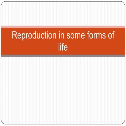 Reproduction 101110032348-phpapp02