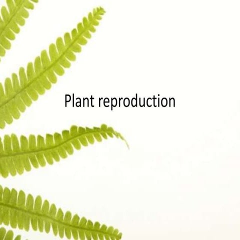 Reproduction