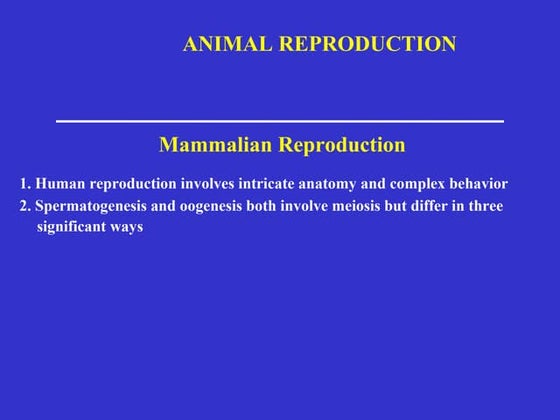 Msc zoology fourth semester -Anatomy-of-Ovaries.ppt