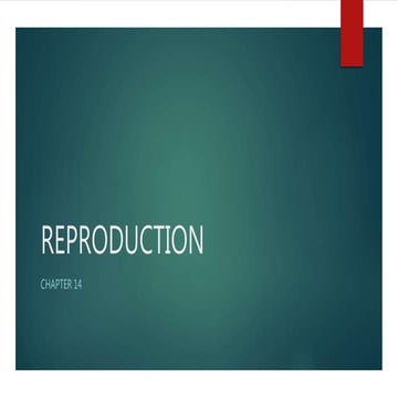 Reproduction
