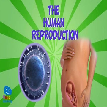 Reproduction