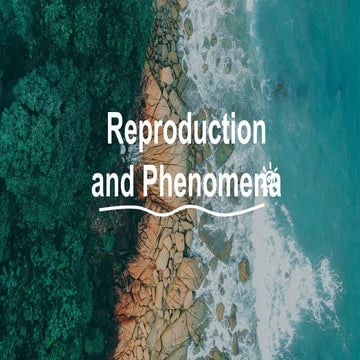 Swine-Reproduction-and-Production-Management.ppt