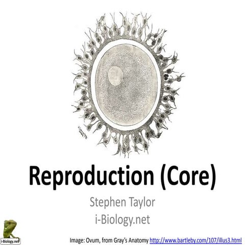 Reproduction (Core)