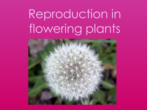 reproduction in flowering plants | PPT