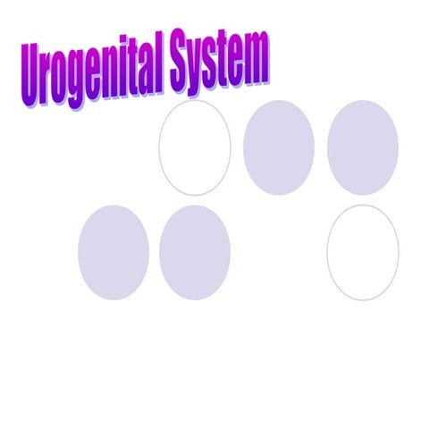 Reproduction.ppt2013