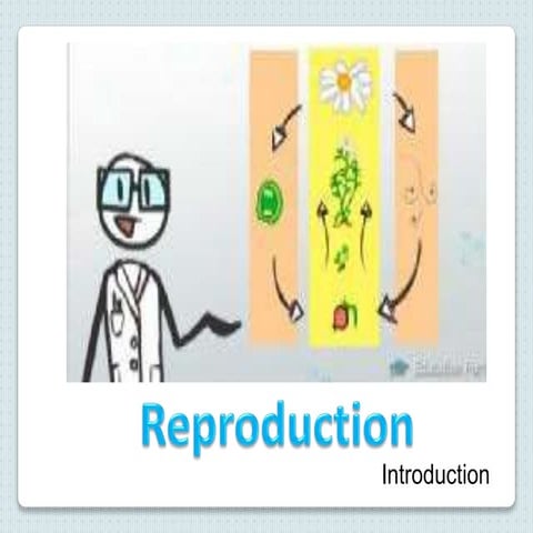 Lesson 4.1 Introduction of Reproduction