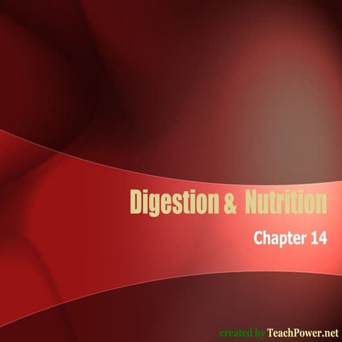 Reproduction and development