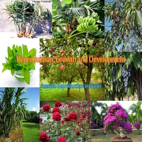 Reproduction, growth and development ppt