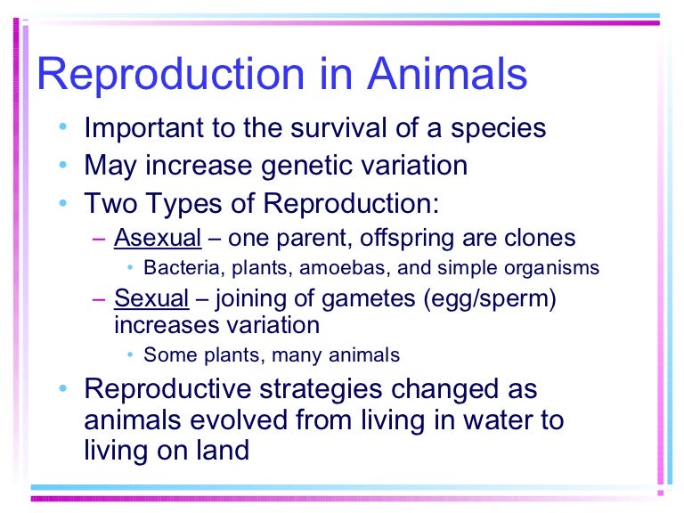 Reproduction in animals