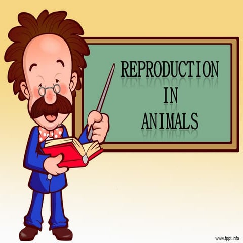 Reproduction in animals