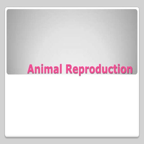 ReproductioninAnimals.pptx