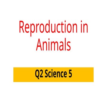 This powerpoint is about Reproduction in Animals | PPTX