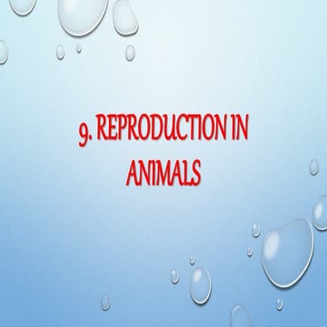 Reproduction in animals by gaurav ghankhede