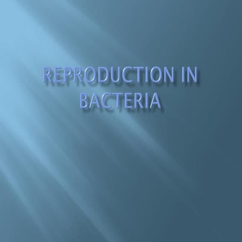 Reproduction in bacteria