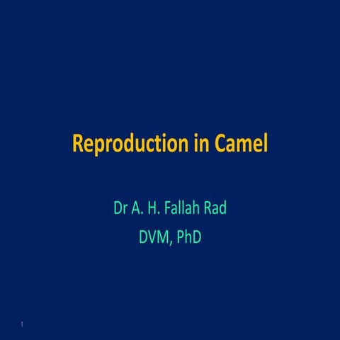 Reproduction in camel