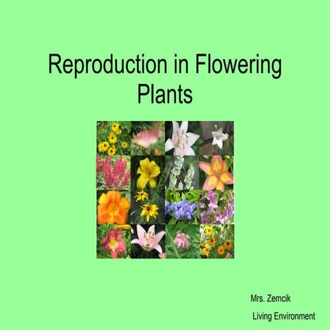 Reproduction In Flowering Plants