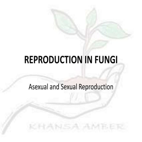 Reproduction in FUNGI