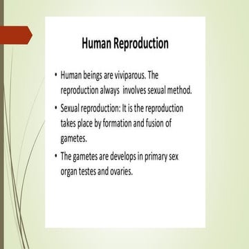 reproduction in human.pptx