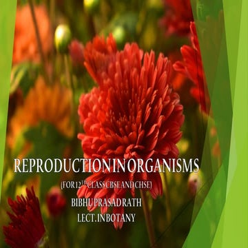 Reproduction in organisms